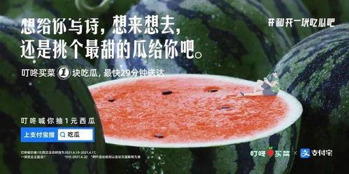 夏日吃瓜的文案,瓜果飘香——尽享清凉美味时光 第1张 夏日吃瓜的文案,瓜果飘香——尽享清凉美味时光 第1张