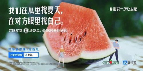 夏日吃瓜的文案,瓜果飘香——尽享清凉美味时光 第3张 夏日吃瓜的文案,瓜果飘香——尽享清凉美味时光 第3张