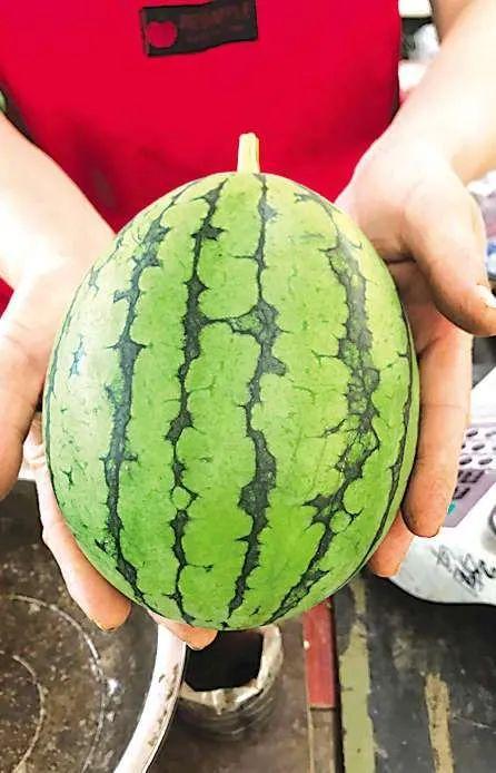 最新济南吃瓜事件,一场网络热议背后的真相揭秘  第3张