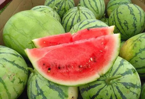 天津吃瓜爆料今天视频,今日视频揭秘幕后真相 第1张 天津吃瓜爆料今天视频,今日视频揭秘幕后真相 第1张