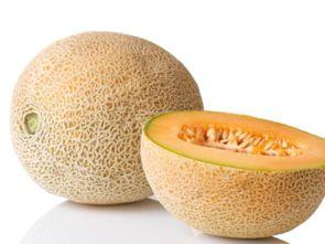 哈密瓜产妇可以吃吗,产妇适宜的滋补佳品 第1张 哈密瓜产妇可以吃吗,产妇适宜的滋补佳品 第1张