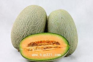 哈密瓜产妇可以吃吗,产妇适宜的滋补佳品 第3张 哈密瓜产妇可以吃吗,产妇适宜的滋补佳品 第3张