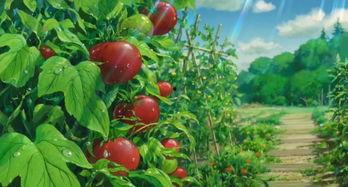 重庆李柒柒吃瓜,揭秘网络红人的日常生活 第1张 重庆李柒柒吃瓜,揭秘网络红人的日常生活 第1张