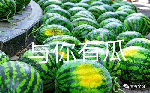 全国大学吃瓜,校园热点事件大盘点  第3张