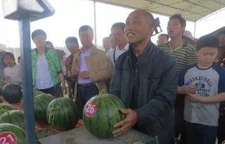 灌南吃瓜群众,揭秘当地热点事件背后的真相  第2张