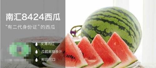 合格吃瓜人,揭秘网络舆论场中的理性与趣味 第1张 合格吃瓜人,揭秘网络舆论场中的理性与趣味 第1张