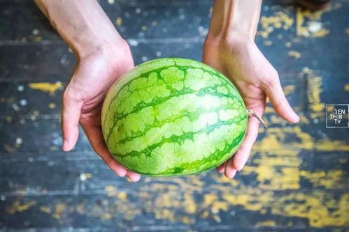 合格吃瓜人,揭秘网络舆论场中的理性与趣味 第2张 合格吃瓜人,揭秘网络舆论场中的理性与趣味 第2张