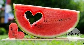 合格吃瓜人,揭秘网络舆论场中的理性与趣味 第3张 合格吃瓜人,揭秘网络舆论场中的理性与趣味 第3张