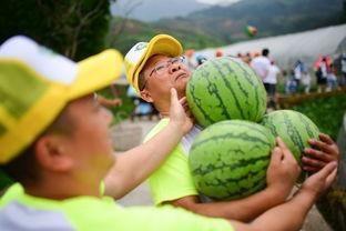 30楼吃瓜群众,揭秘高楼里的八卦风云  第1张
