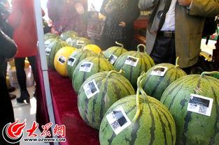 安迪南王吃瓜,瓜田里的传奇故事 第1张 安迪南王吃瓜,瓜田里的传奇故事 第1张