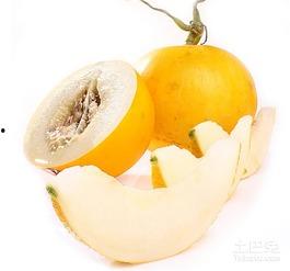 伊丽莎白瓜能炒吃吗 第3张 伊丽莎白瓜能炒吃吗 第3张