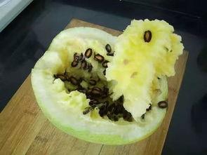 吃炒籽瓜的危害,健康饮食需谨慎 第2张 吃炒籽瓜的危害,健康饮食需谨慎 第2张