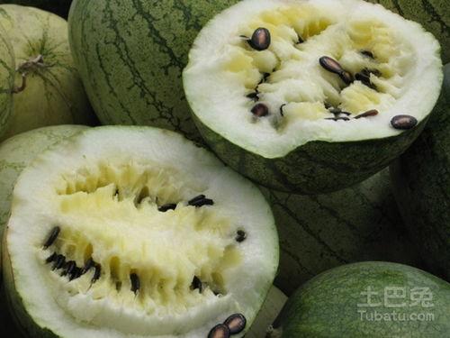 吃炒籽瓜的危害,健康饮食需谨慎 第3张 吃炒籽瓜的危害,健康饮食需谨慎 第3张