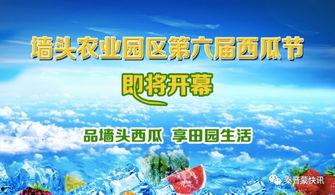 府谷县吃瓜,瓜果飘香，品味乡愁  第1张