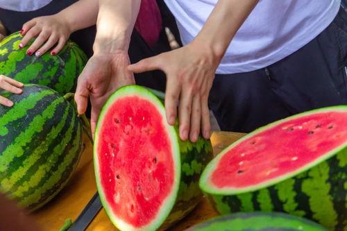 广州学院吃瓜,校园吃瓜文化盛行，揭秘校园热点事件背后的故事  第1张