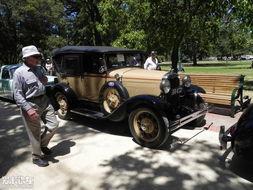 墨尔本车吃瓜,一场意外引发的全民热议  第2张