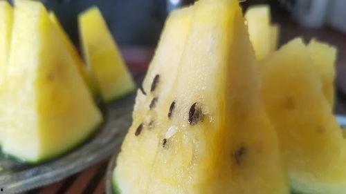 51吃瓜密码多少,探寻网络热点的背后真相  第2张