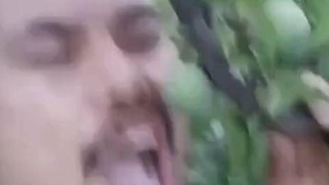 吃瓜摸头视频大全 第3张 吃瓜摸头视频大全 第3张