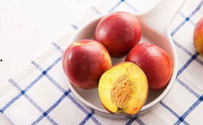 吃瓜过敏起红点 第1张 吃瓜过敏起红点 第1张